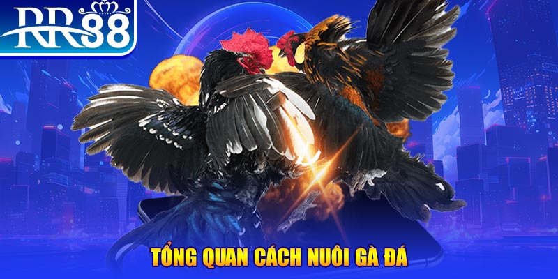 99kl VA Điện Tử