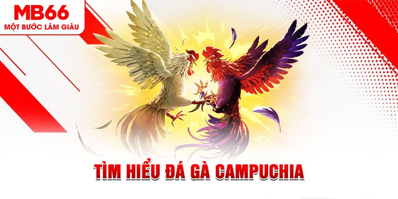 đá gà trực tiếp
