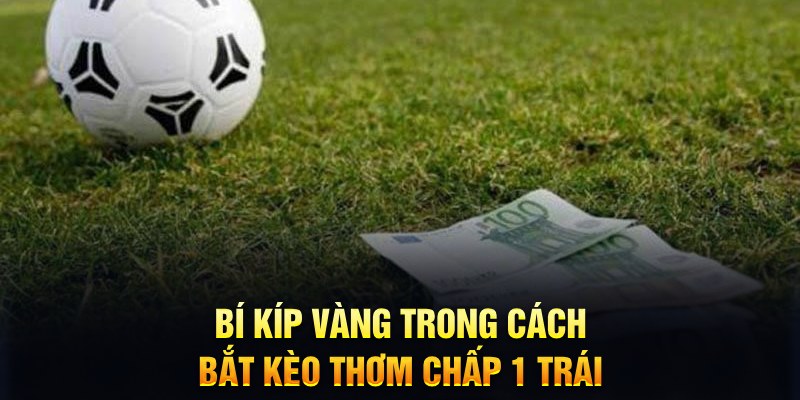 99kl sổ xô miên bắc