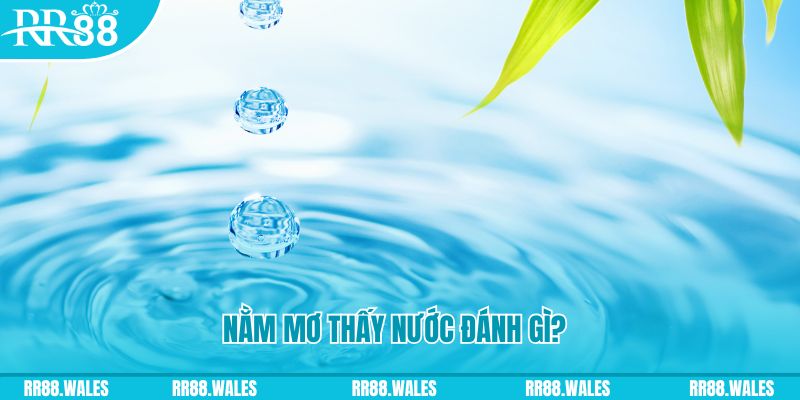 99kl TP Bắn cá