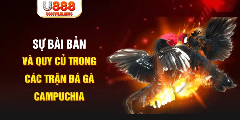99kl YGR Điện Tử