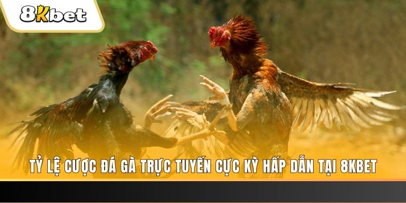 đăng nhập phỏm trực tiếp