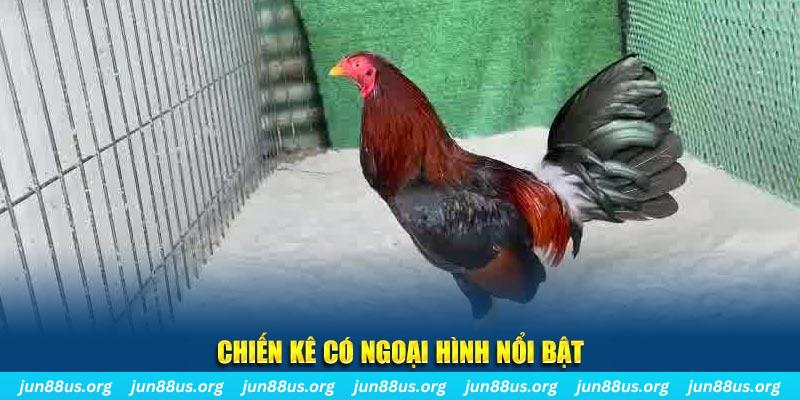 99kl chạy quảng cáo cho game bài bị phạt như thế nào